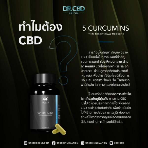 5 curcumin 2